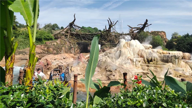 暑假全家總動員,金帝集成灶幸運客戶暢游上海迪士尼 ! 暑假全家總動員,金帝集成灶幸運客戶暢游上海迪士尼 !