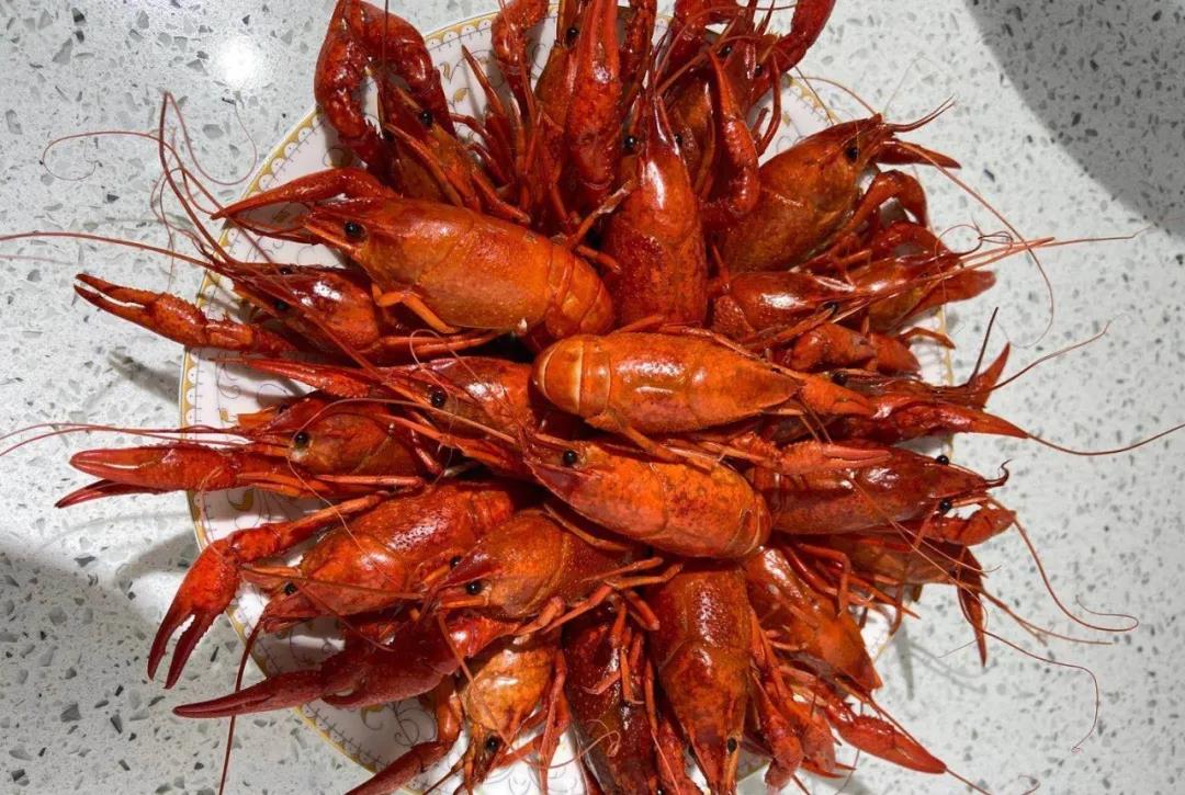 1586838556632549.jpg 5.jpg